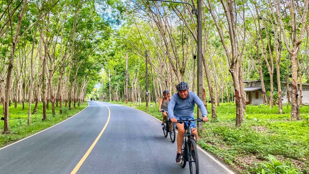Cyclists riding through rubber tree plantation in Phuket