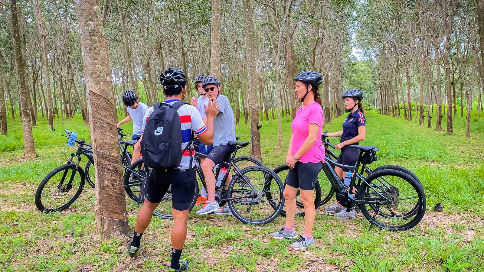 Group of cyclists in rubber tree forest in Thailand bike tour