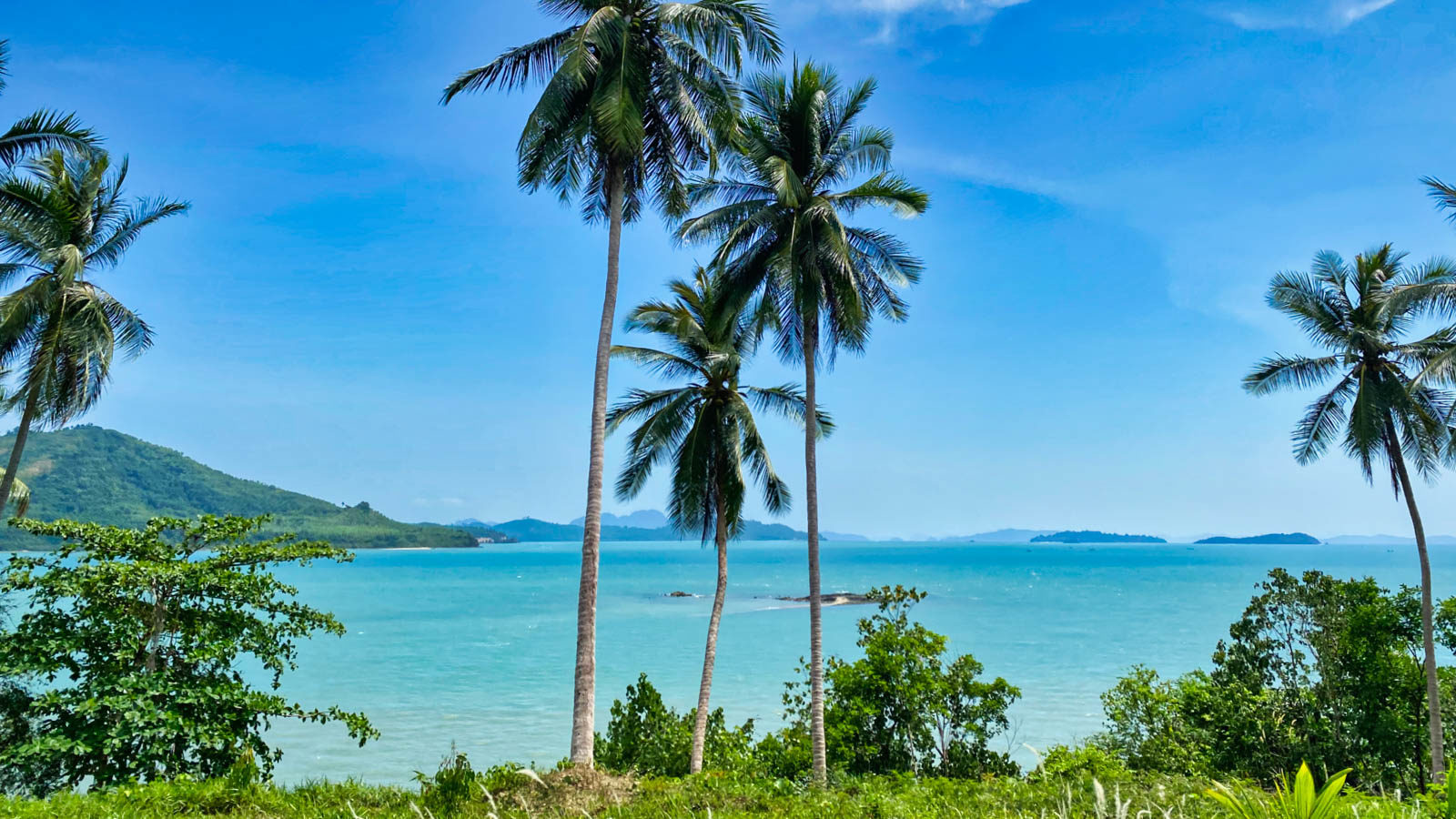 Beach landscape with palm trees in Phuket, Thailand