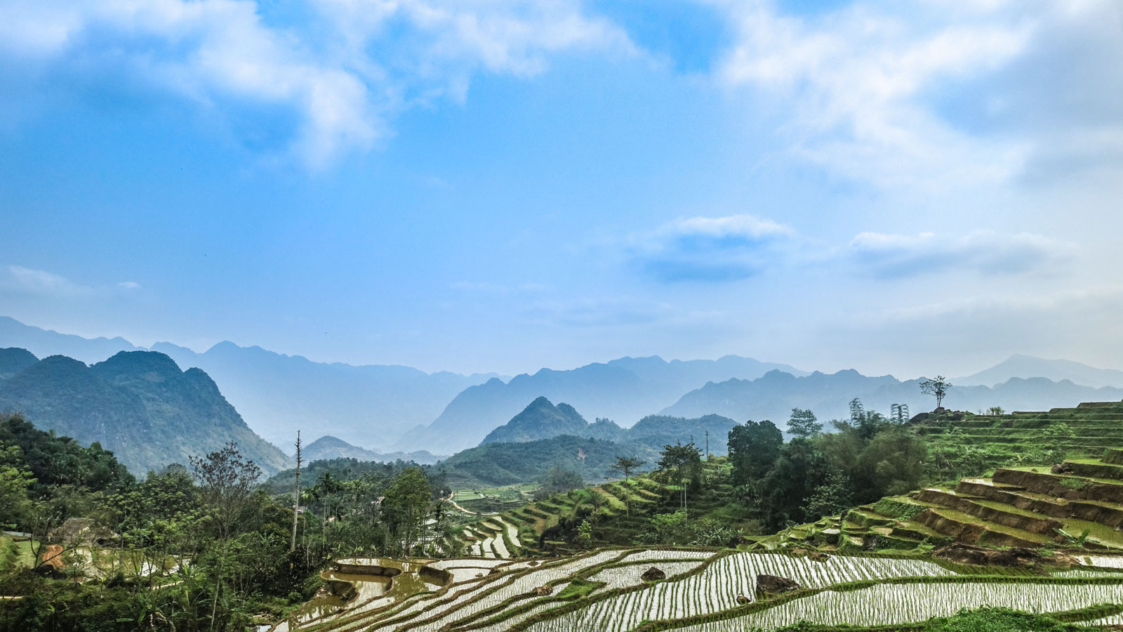 Terraced Mountains in Vietnam
