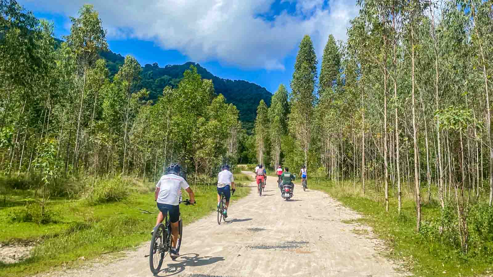 Cycling tour group riding into Sririnat National Park in Thailand