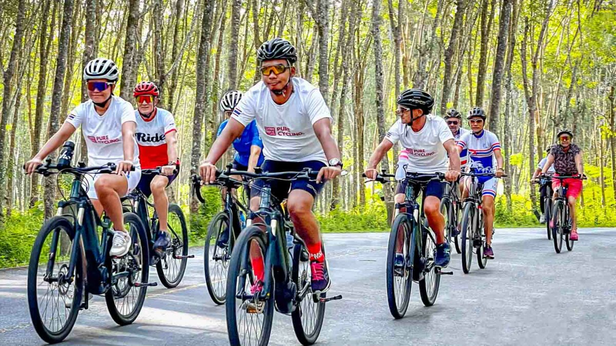 Cycling tour through rubber tree plantation