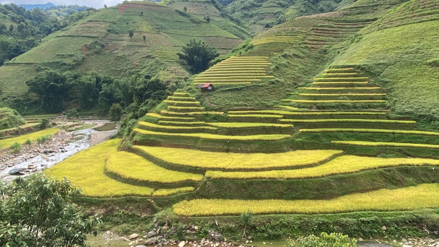 Embark On A Journey Through Northern Vietnam'S Splendor